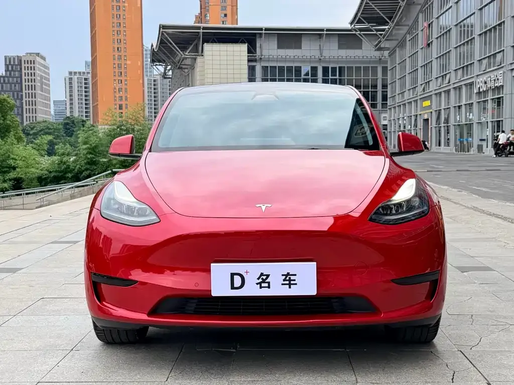 Tesla Model Y — фото 2
