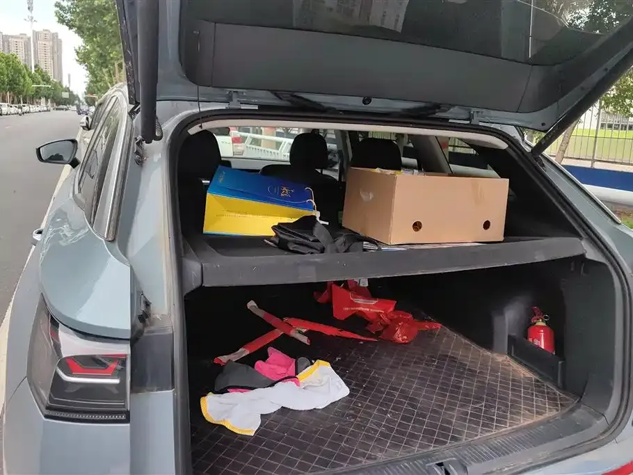 Volkswagen Tavendor 2022 из CN, фото 4
