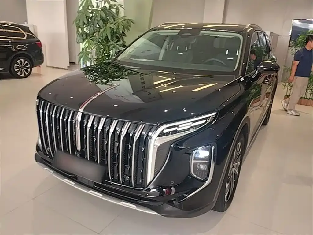 Hongqi HS7 PHEV 2024 из CN, фото 2