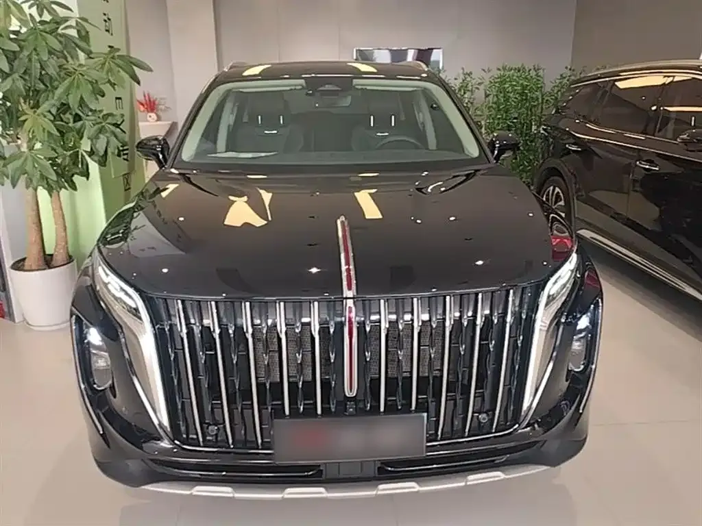 Hongqi HS7 PHEV 2024 из CN, фото 8