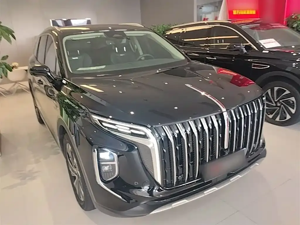 Hongqi HS7 PHEV 2024 из CN, фото 9