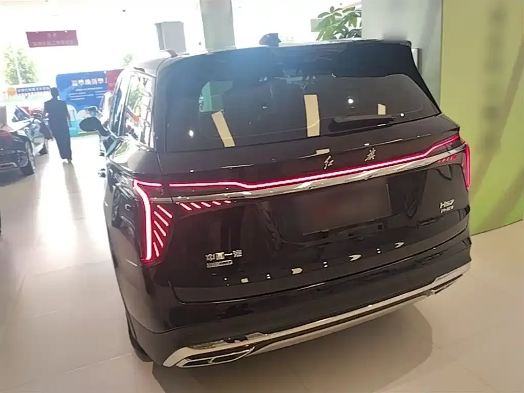 Hongqi HS7 PHEV 2024 из CN, фото 10