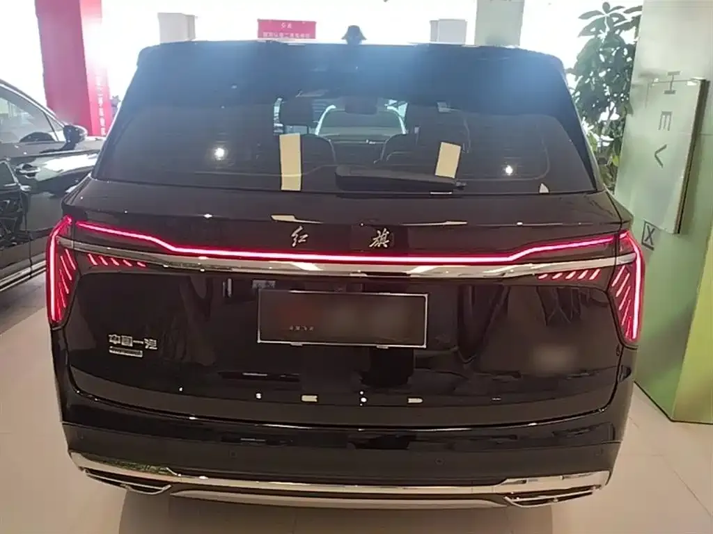 Hongqi HS7 PHEV 2024 из CN, фото 3