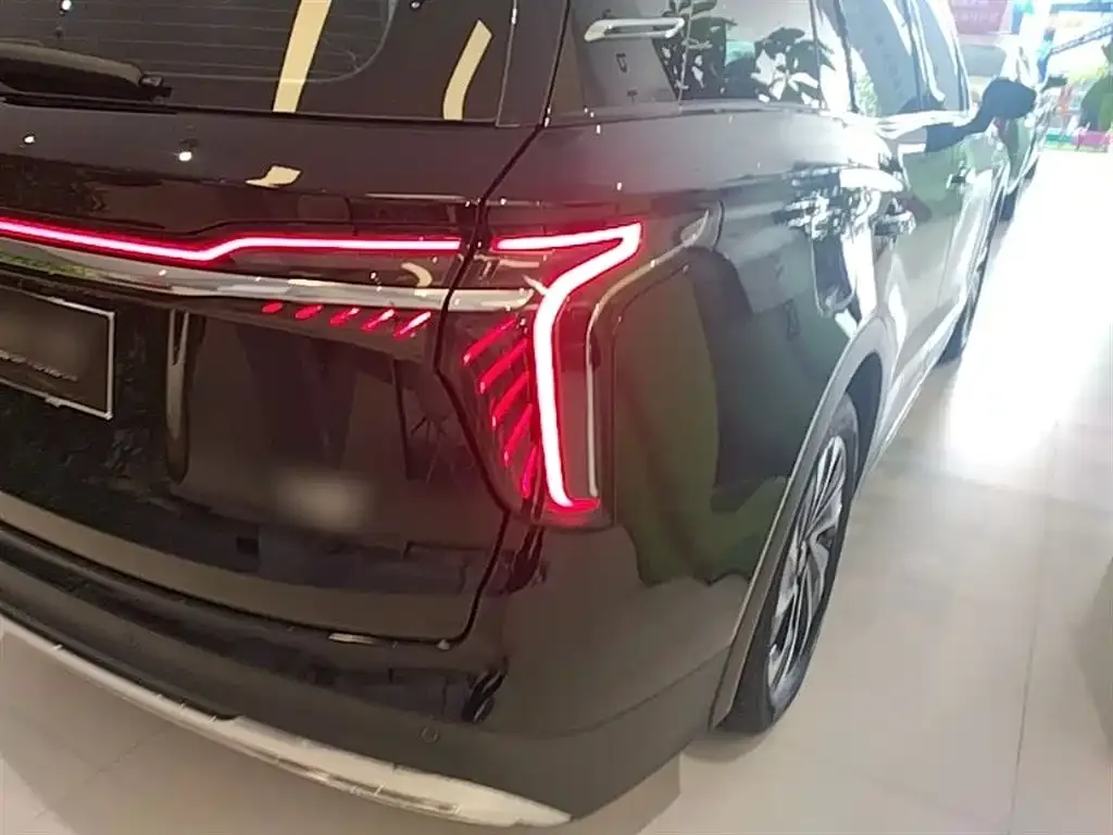 Hongqi HS7 PHEV 2024 из CN, фото 7