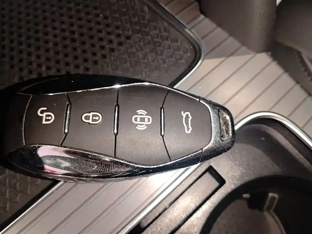 Hongqi HS7 PHEV 2024 из CN, фото 5