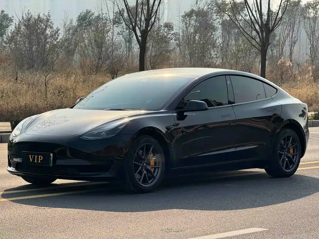 Tesla Model 3 2023 из CN, фото 1
