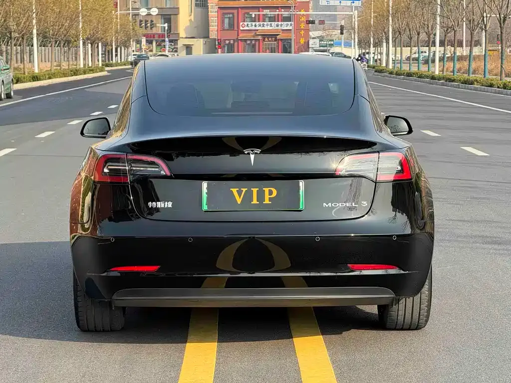 Tesla Model 3 2023 из CN, фото 7