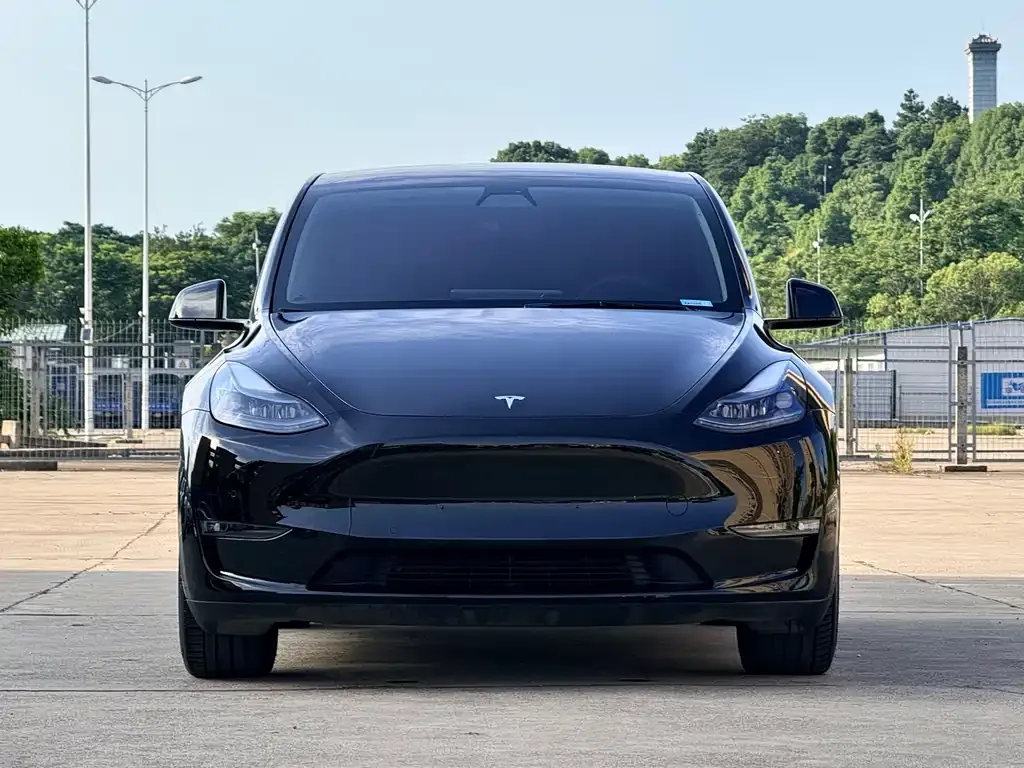 Tesla Model Y — фото 1