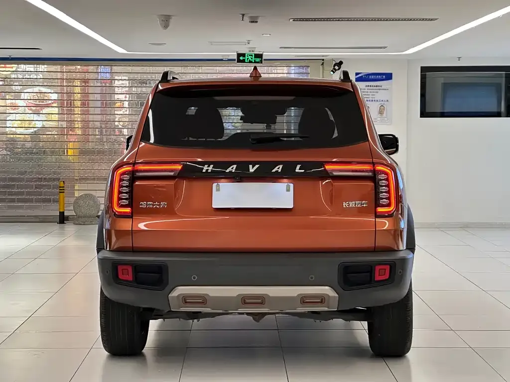Haval Big Dog — фото 7