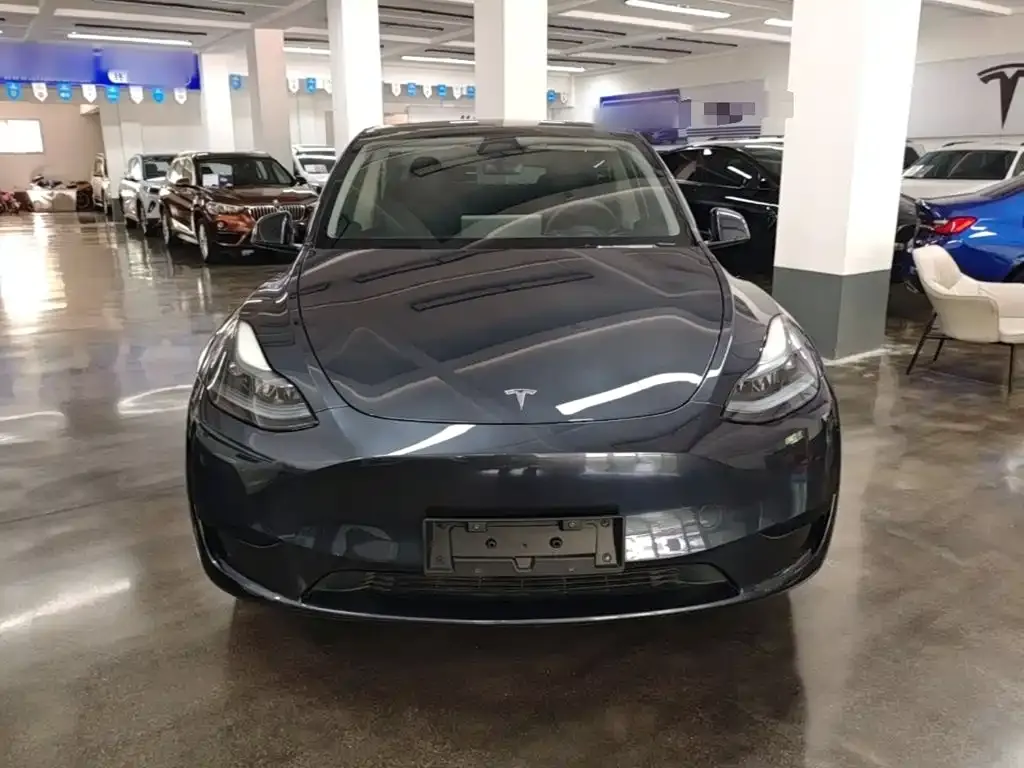 Tesla Model Y — фото 7