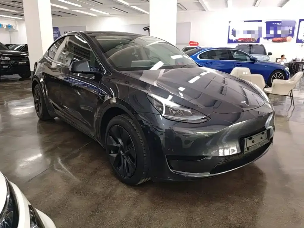 Tesla Model Y — фото 3