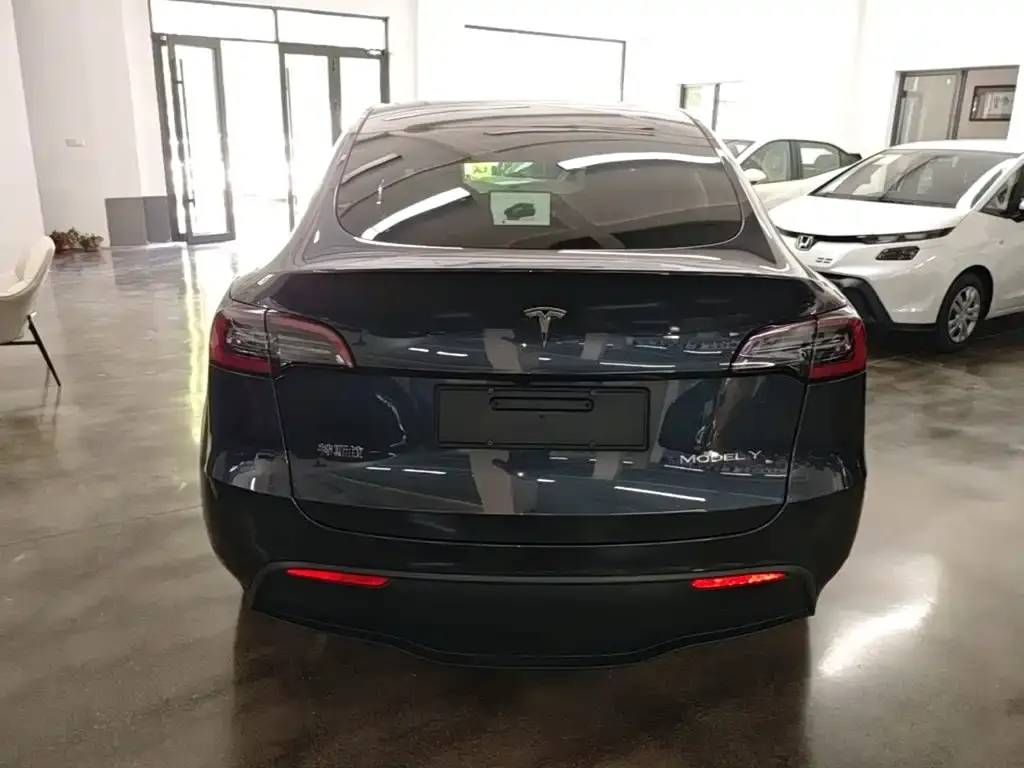 Tesla Model Y — фото 8