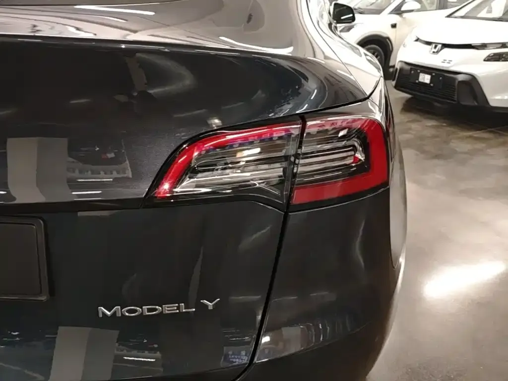 Tesla Model Y — фото 10