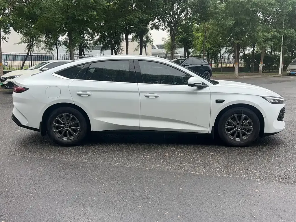 BYD Qin L — фото 7