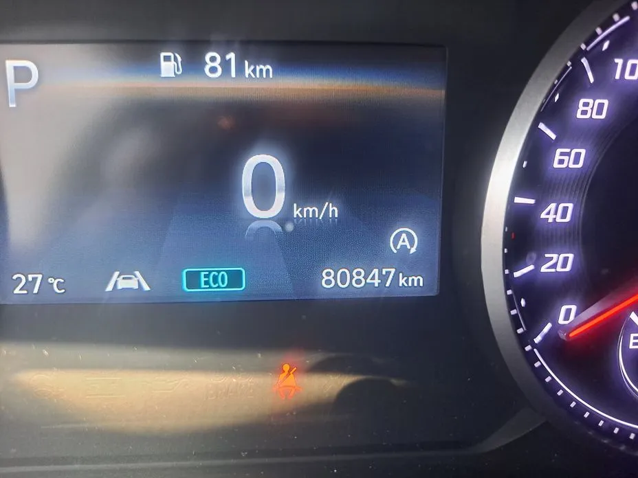Hyundai Santafe 2021 из KR, фото 3