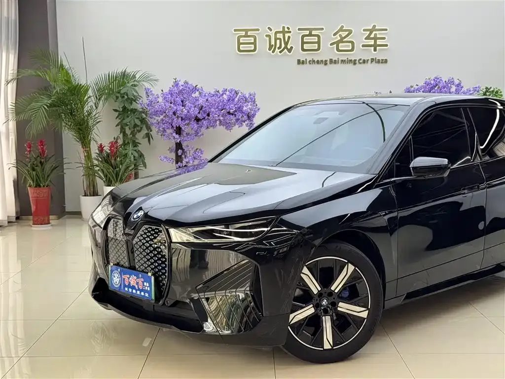 BMW iX 2023 из CN, фото 3