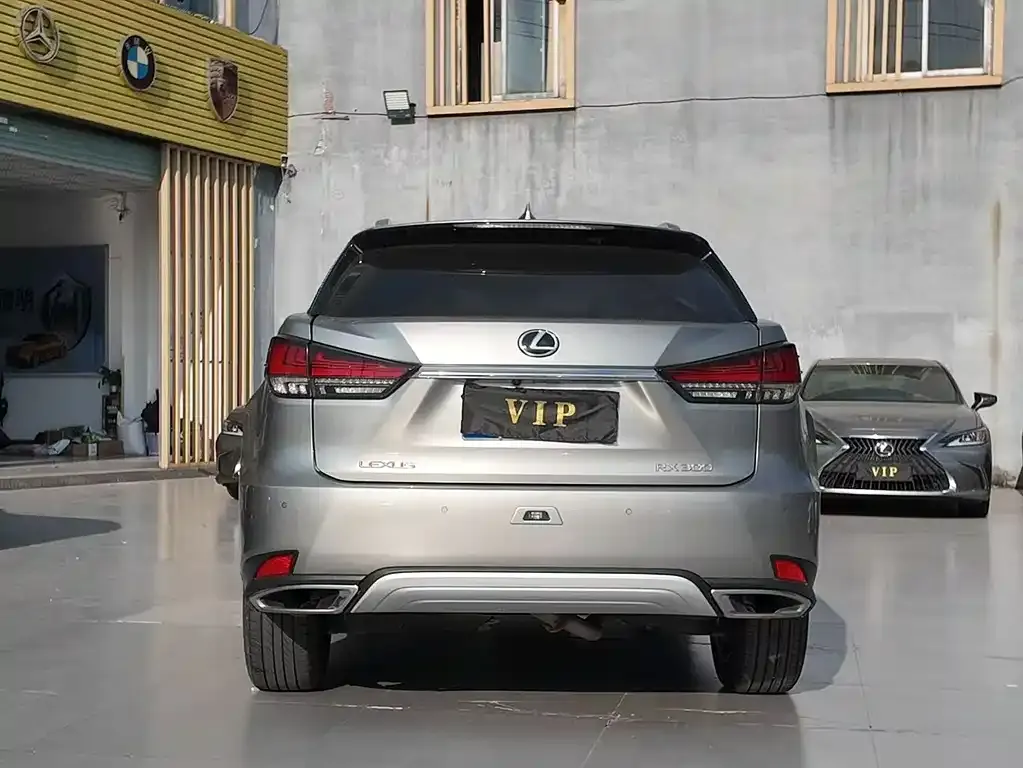 Lexus RX 2022 из CN, фото 2