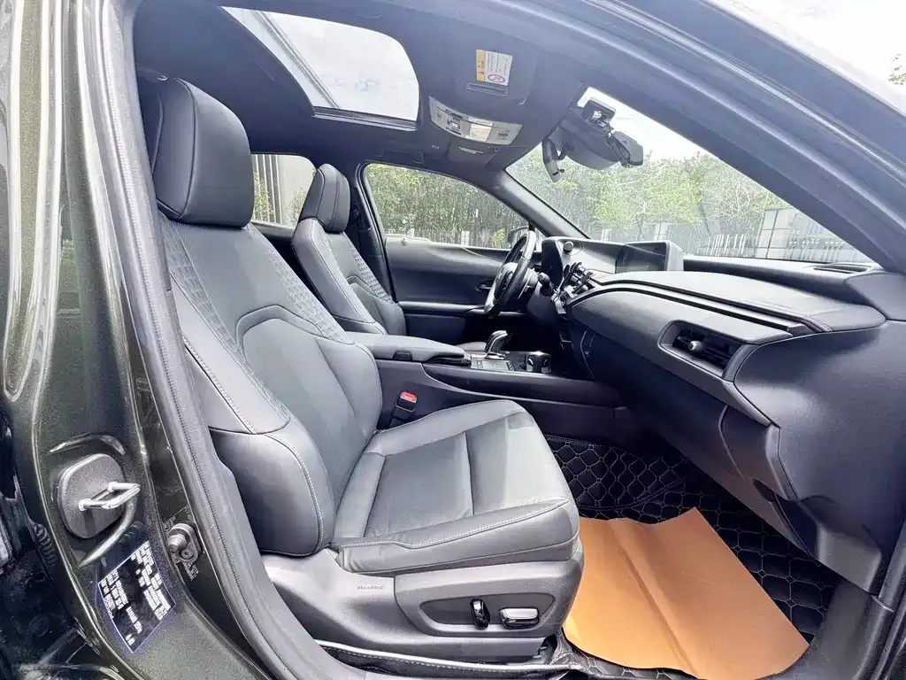 Lexus UX New Energy 2021 из CN, фото 6