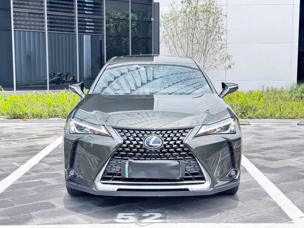 Lexus UX New Energy 2021 из CN, фото 8