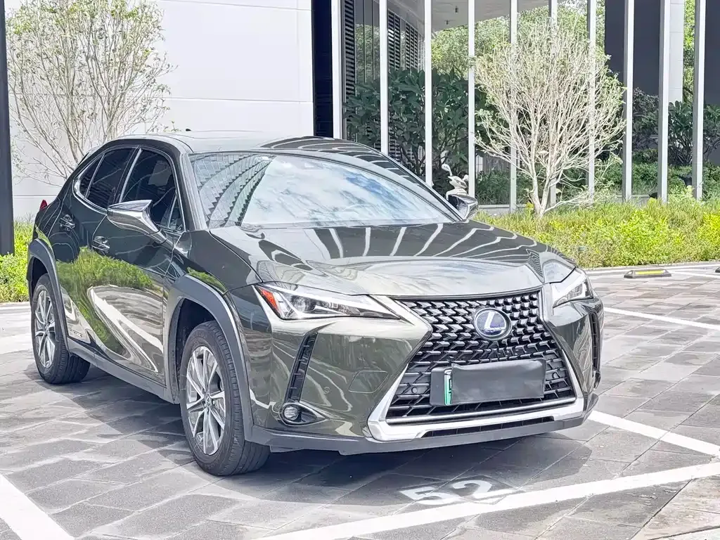Lexus UX New Energy 2021 из CN, фото 7