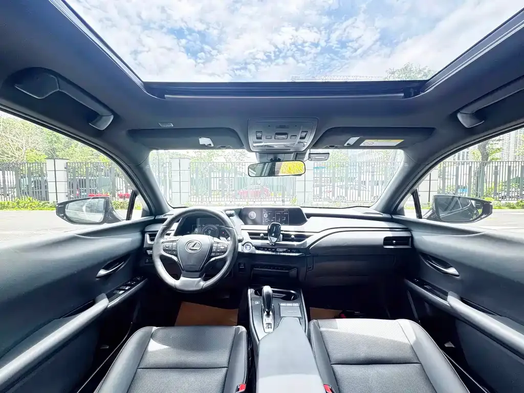 Lexus UX New Energy 2021 из CN, фото 9