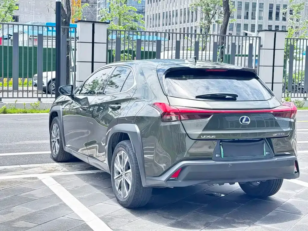 Lexus UX New Energy 2021 из CN, фото 10