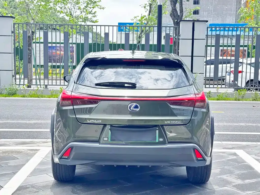 Lexus UX New Energy 2021 из CN, фото 3