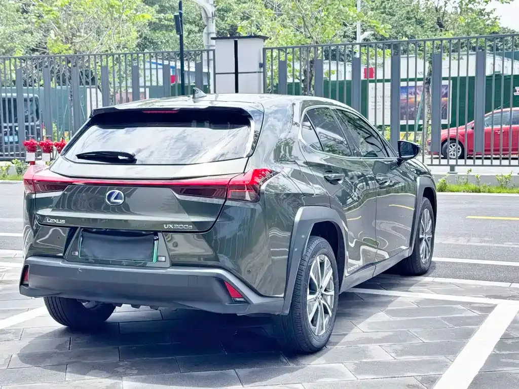 Lexus UX New Energy 2021 из CN, фото 5
