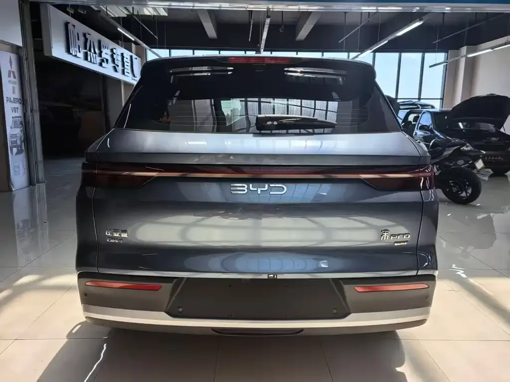 BYD Pro New Energy — фото 6