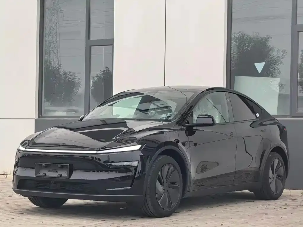 Tesla Model Y — фото 5