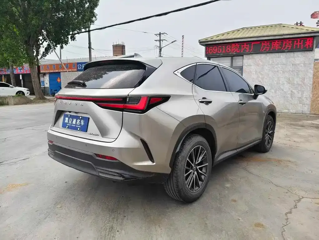 Lexus NX — фото 6