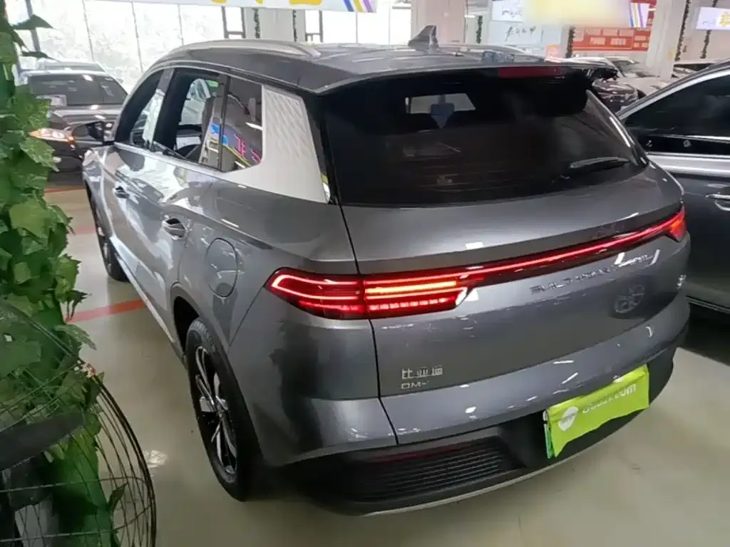 BYD Pro New Energy — фото 10