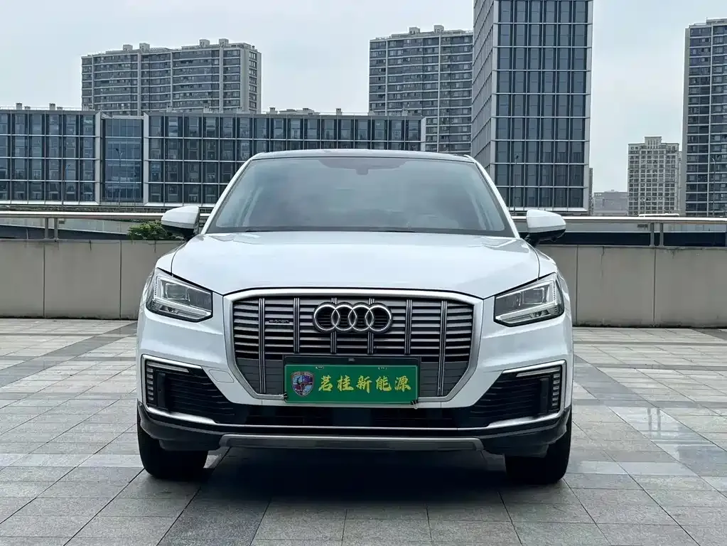 Audi Q2L e-tron 2021 из CN, фото 10