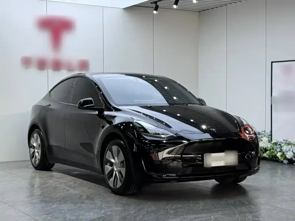 Tesla Model Y — фото 3