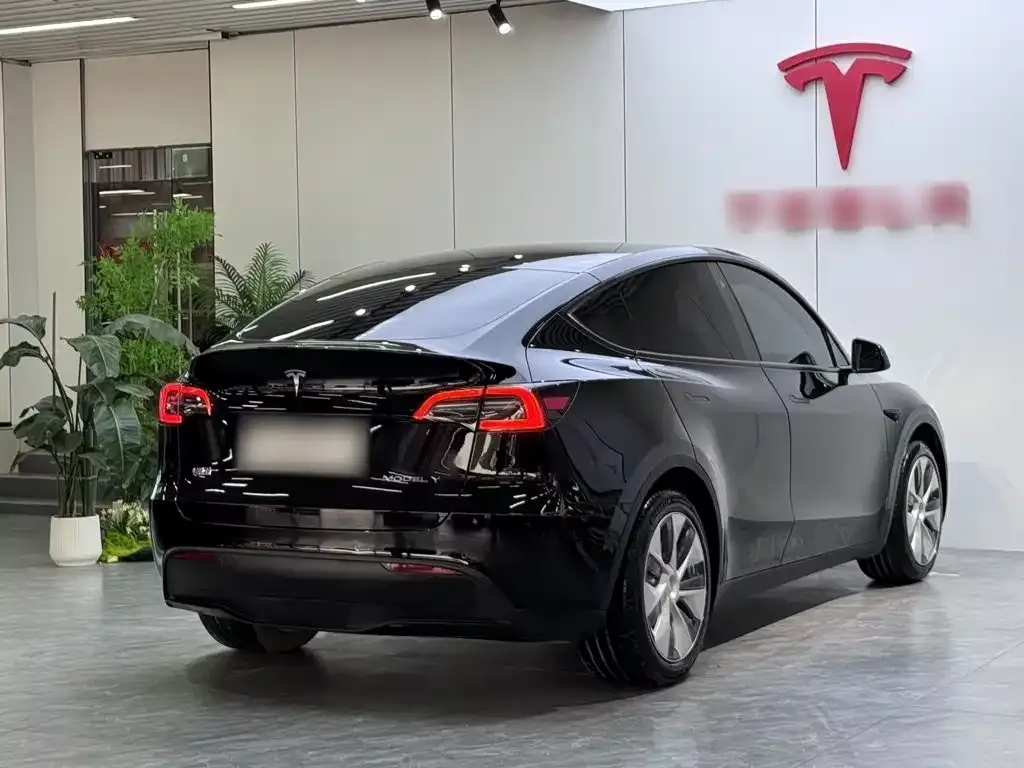 Tesla Model Y — фото 10