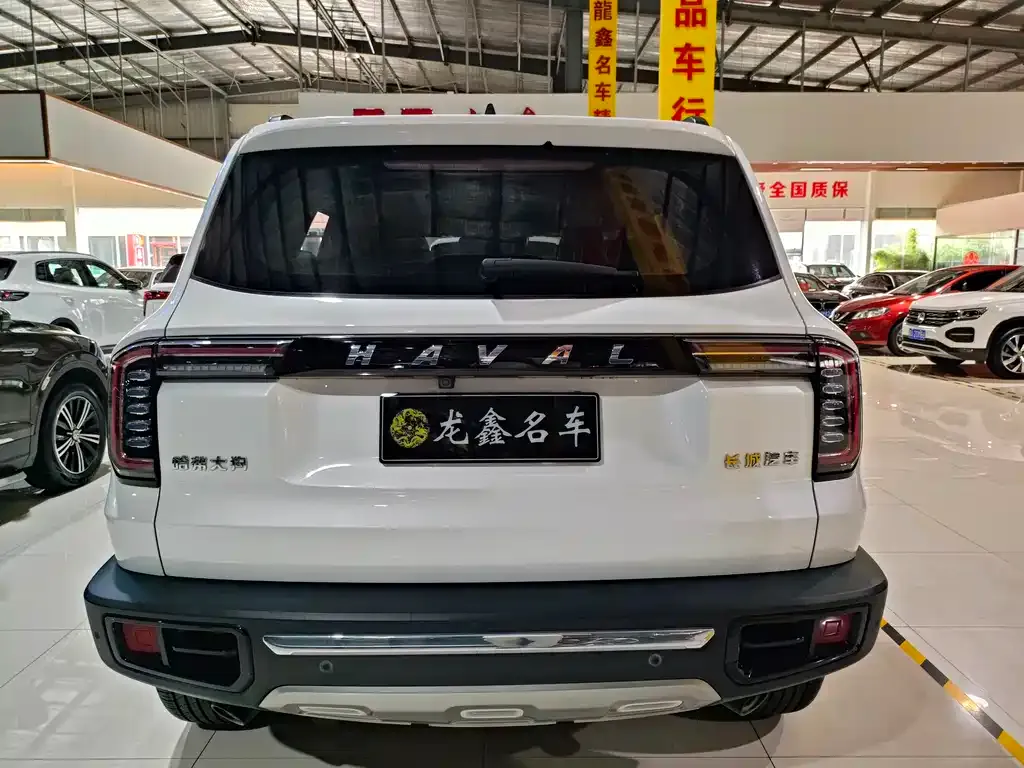 Haval Big Dog — фото 7