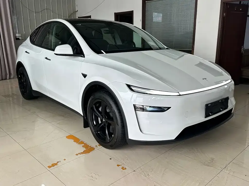 Tesla Model Y — фото 2