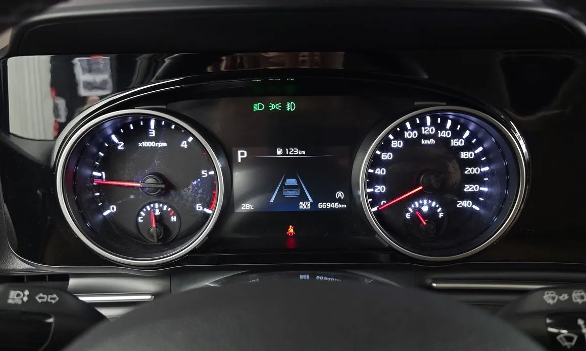 Kia Carnival — фото 10