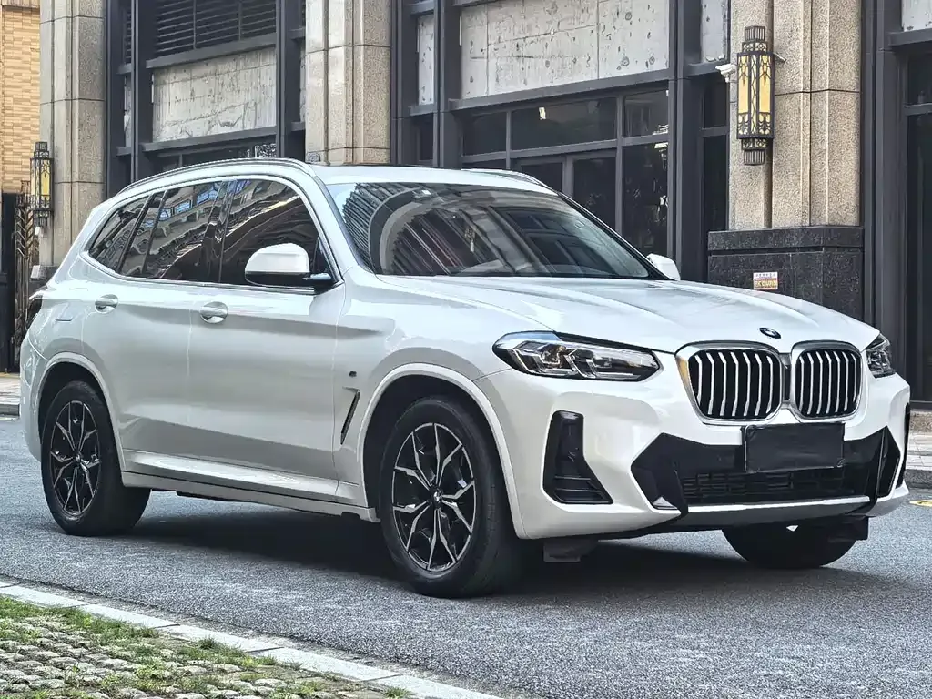 BMW X3 2024 из CN, фото 4