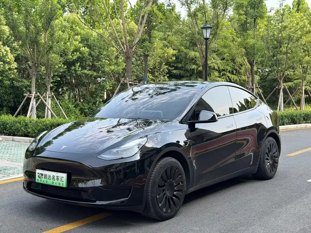 Tesla Model Y — фото 1