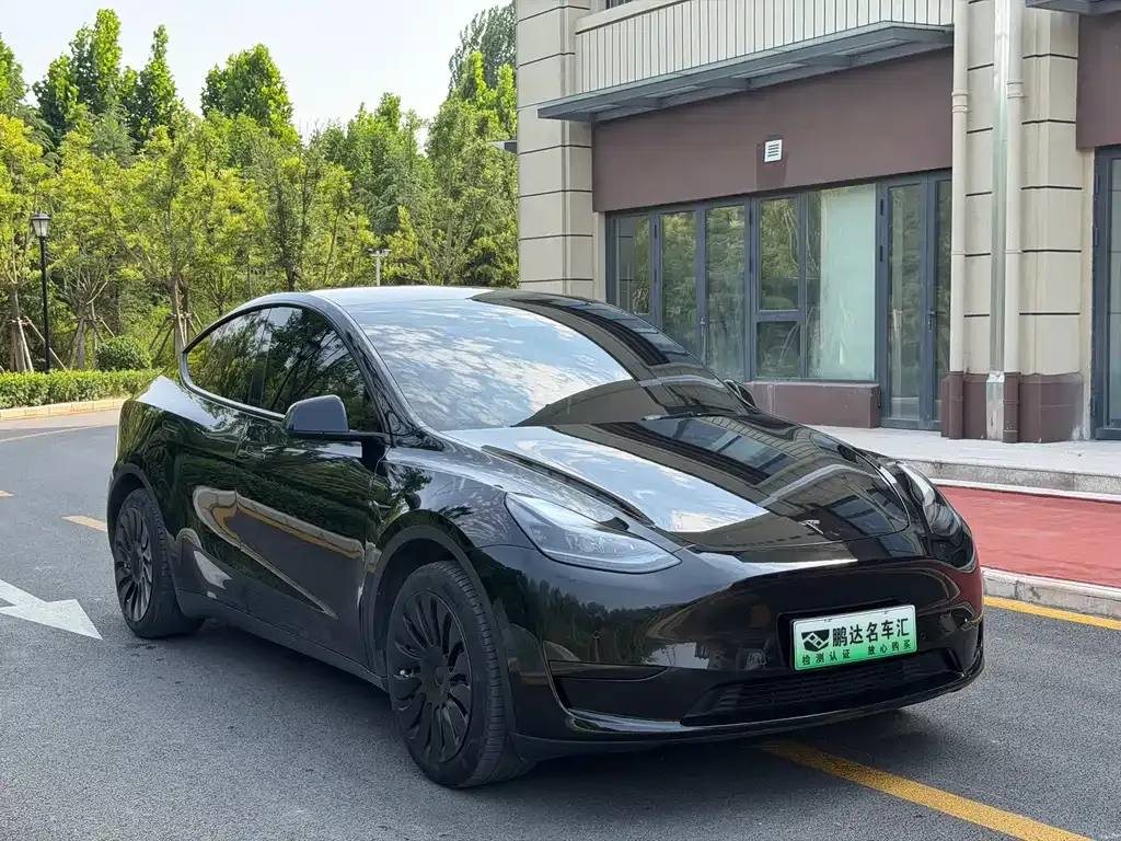 Tesla Model Y — фото 8