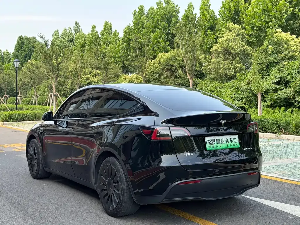 Tesla Model Y — фото 2