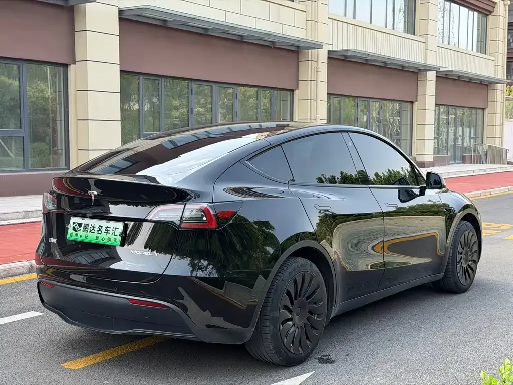 Tesla Model Y — фото 9
