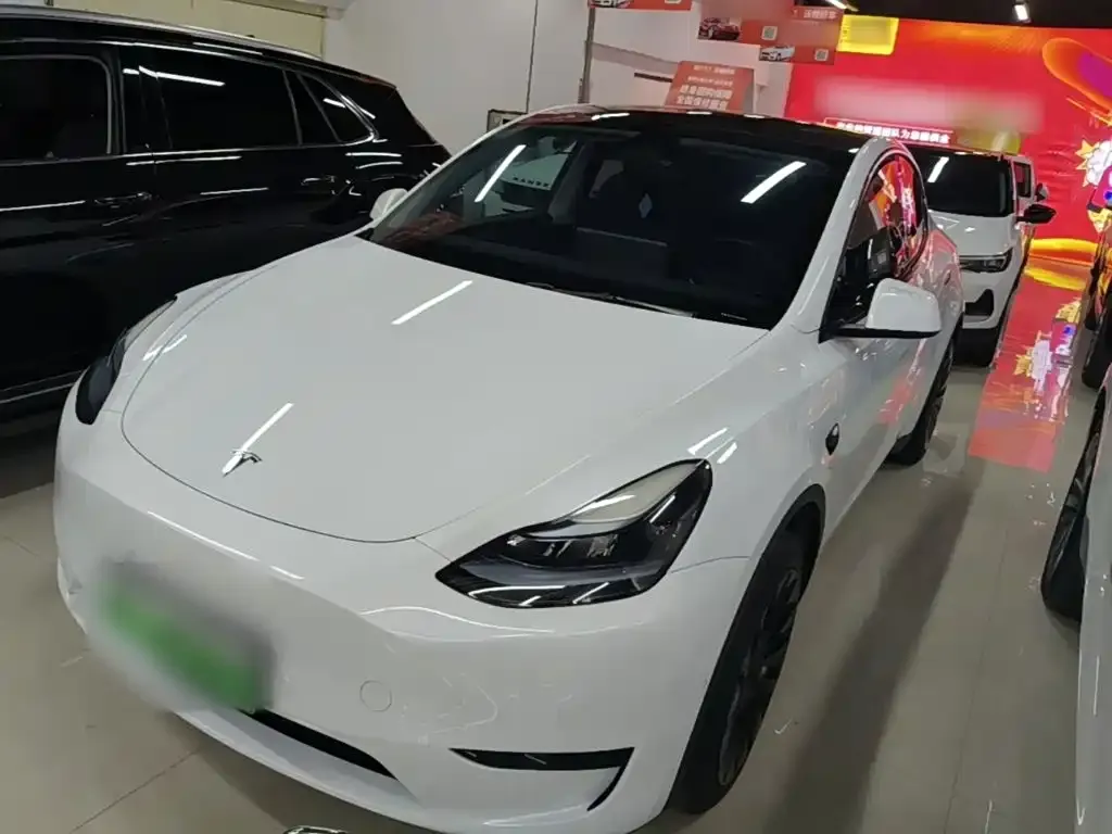 Tesla Model Y — фото 2