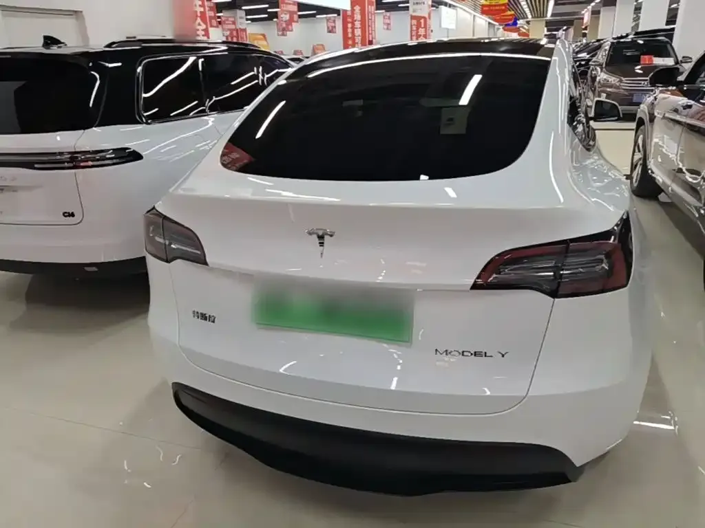 Tesla Model Y — фото 8