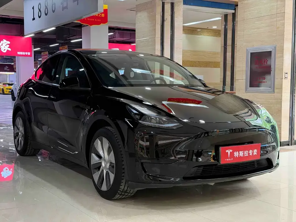 Tesla Model Y — фото 8