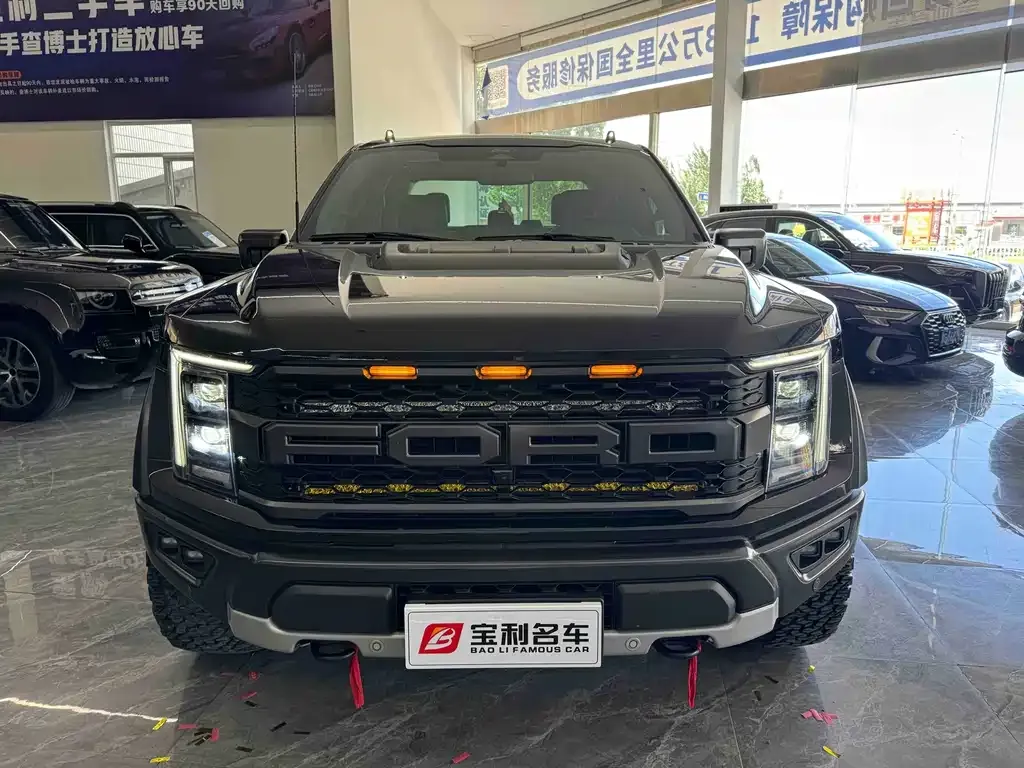 Ford F-150 Raptor — фото 7