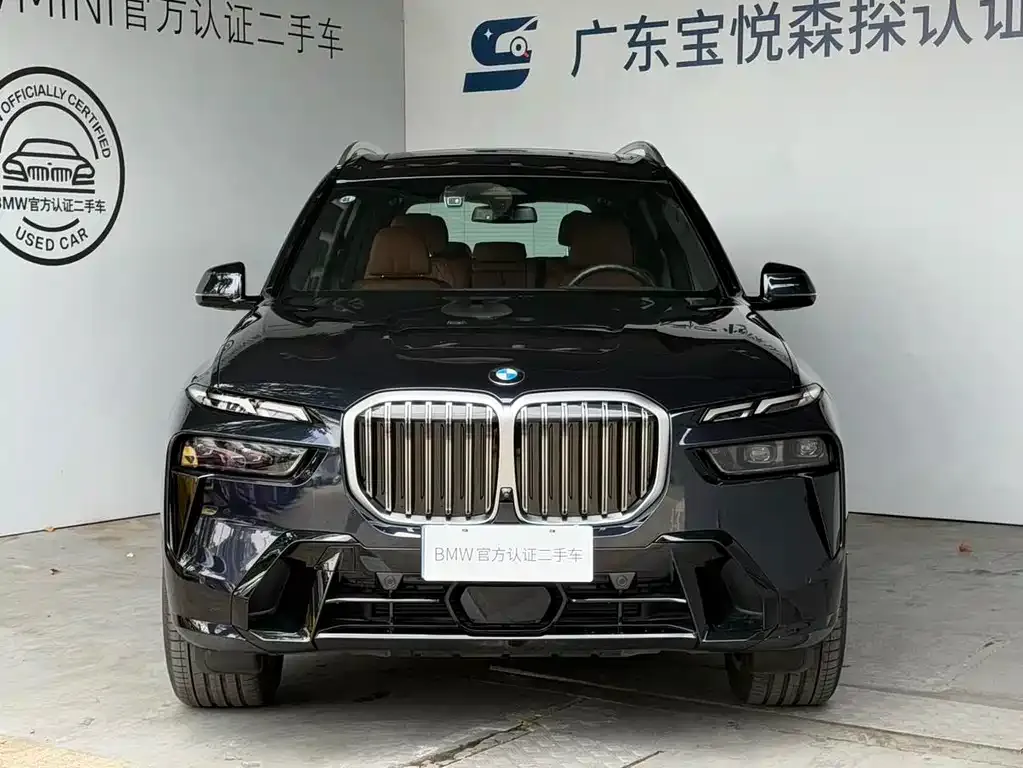 BMW X7 — фото 7