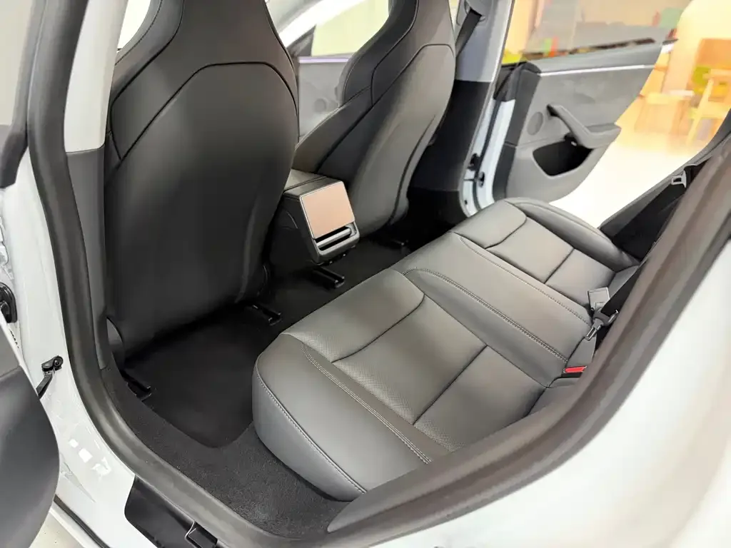 Tesla Model 3 2025 из CN, фото 9