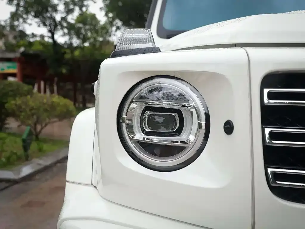 Mercedes-Benz G-Class 2021 из CN, фото 7